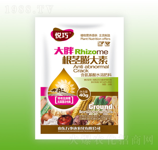 ���ָ��o�����-����-�f���_