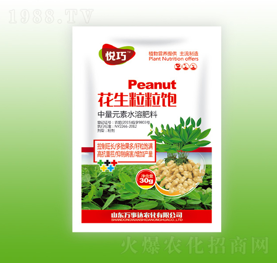 ���������-����-�f(w��n)���_(d��)