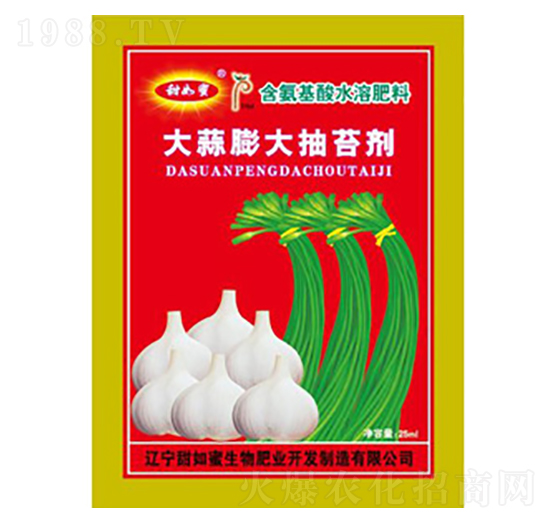 ��������̦��-������