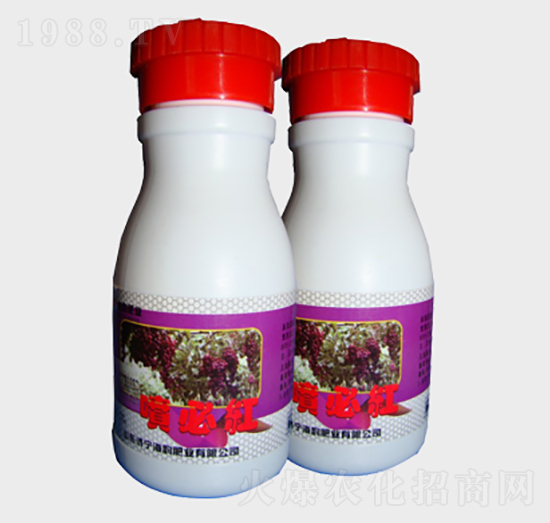 ���ؼt�~���-��퍷ʘI(y��)