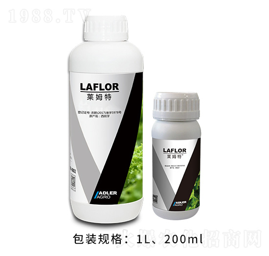 �Rķ��-�͂��_