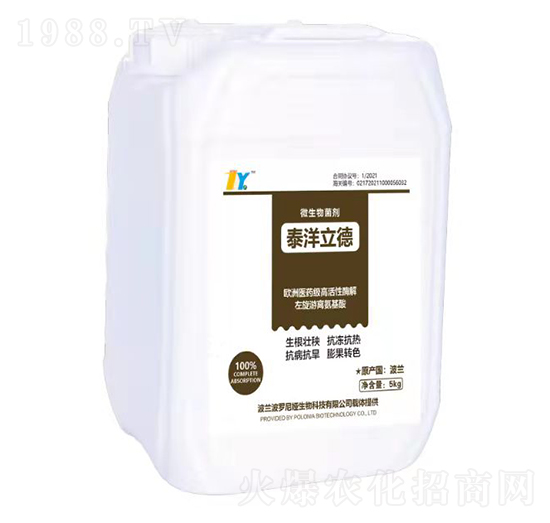 ���������-̩������-̩������