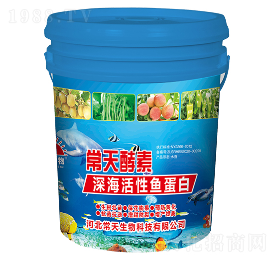 ��������~����-�������-��������