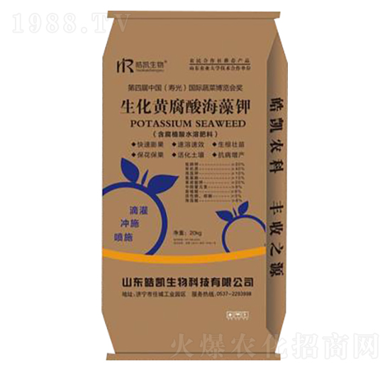 �����S���ả���-�P����