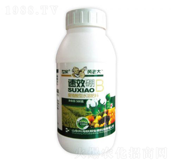 ��-�S�ϴ�-�ƺ�(li��n)��