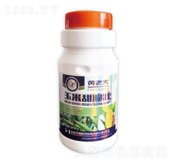 ���������-�S�ϴ�-�ƺ�(li��n)��