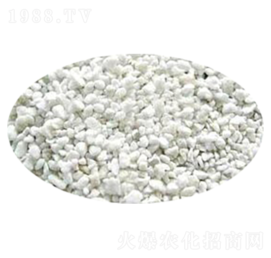 ���w������r-�۱���