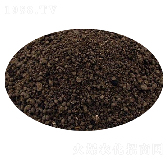 �l(f��)���ЙC���w��-��������