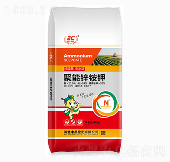 �����\�@�-�в�����