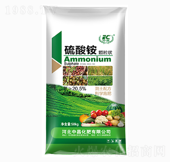 �����@�w����-�в�����