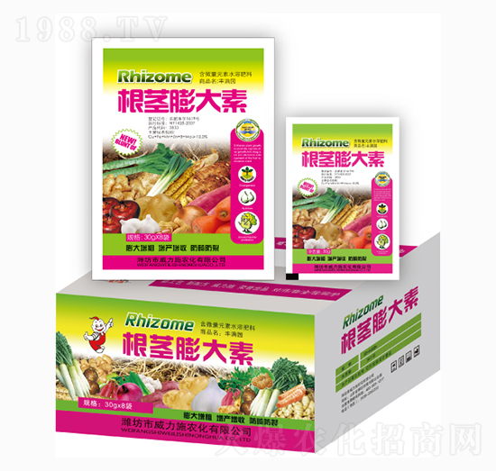 ���o�����-����ʩ