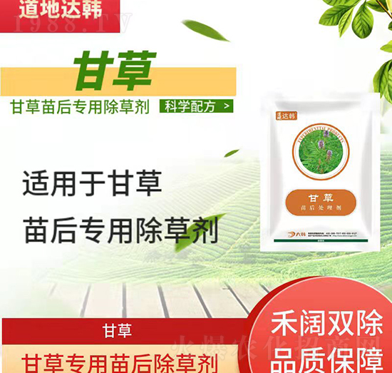 �ʲ�����݄�-�ʲ������-�ʲ����-���n