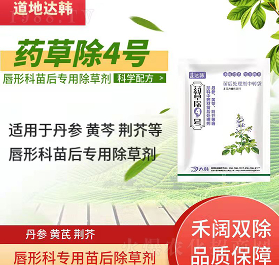 ���οƳ��݄�-���ο����-���οƌ���-ˎ�ݳ�4̖-���n