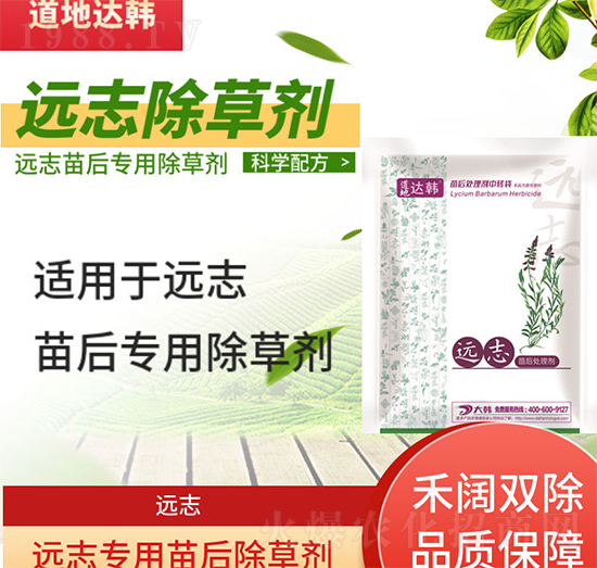 遠志草除草劑-遠志苗后-遠志專用-大韓