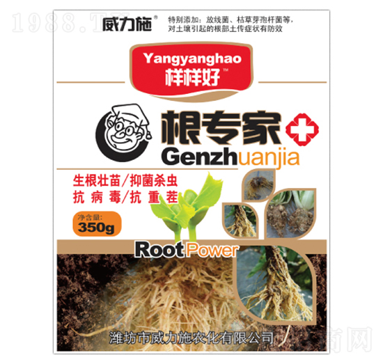 ������-����ʩ