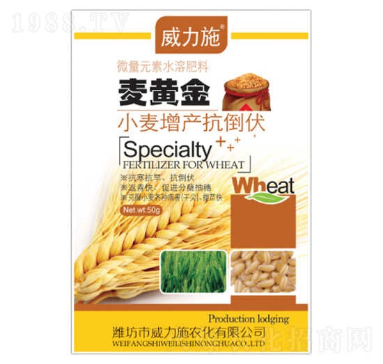 ���S��-����ʩ