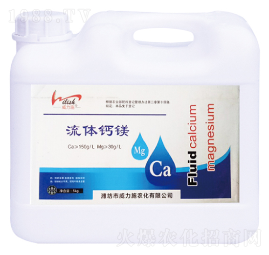 ���w�}�V-����ʩ