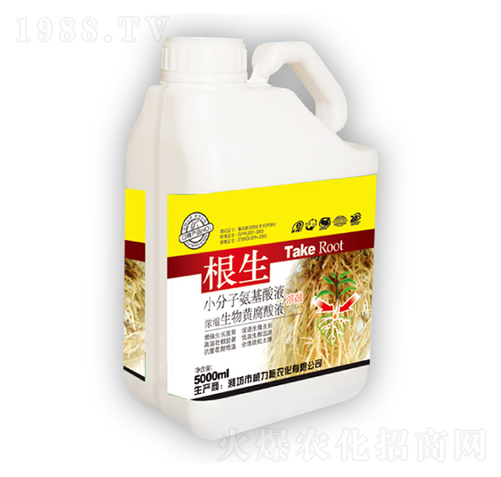 ����-����ʩ