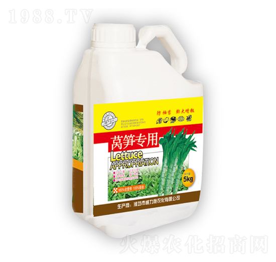 �n�S����-����ʩ