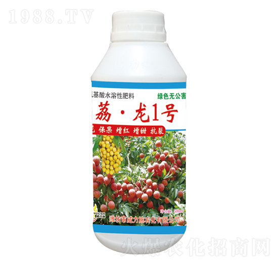 ����1̖-����ʩ