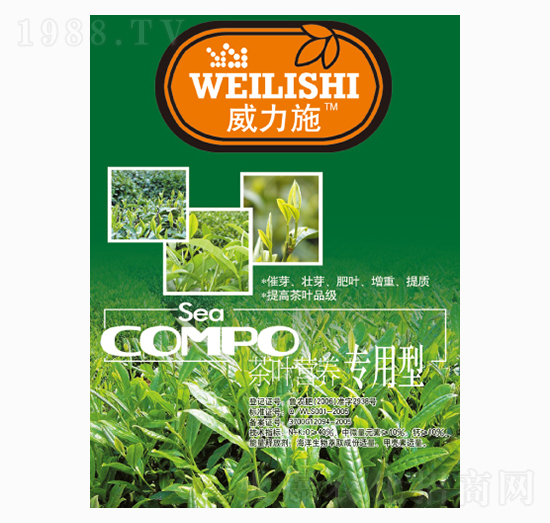 ���~������-����ʩ