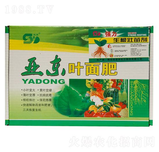 �~���-���|����