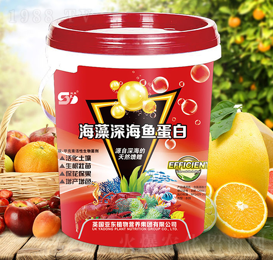 ������~����-���|����