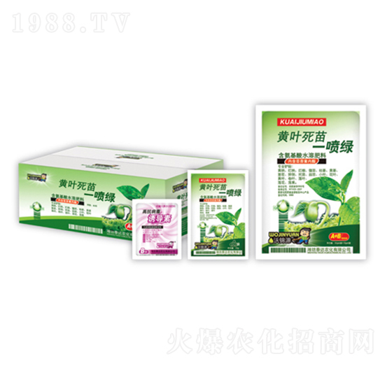 �S�~����һ���G-̩�_�r��