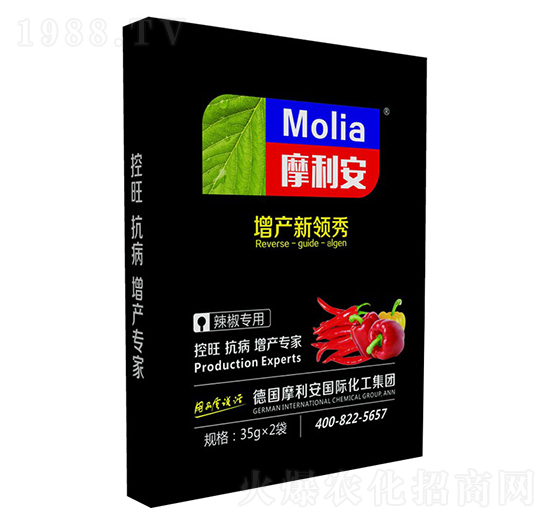 ��������-Ħ����