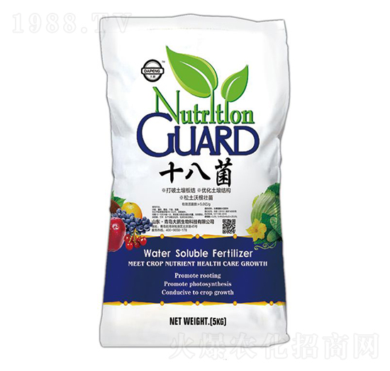 ʮ�˾�-���i����