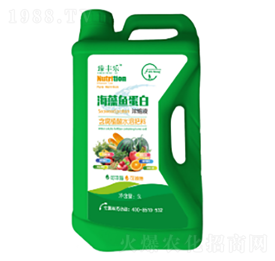 �����~���ם�sҺ-�S�����r