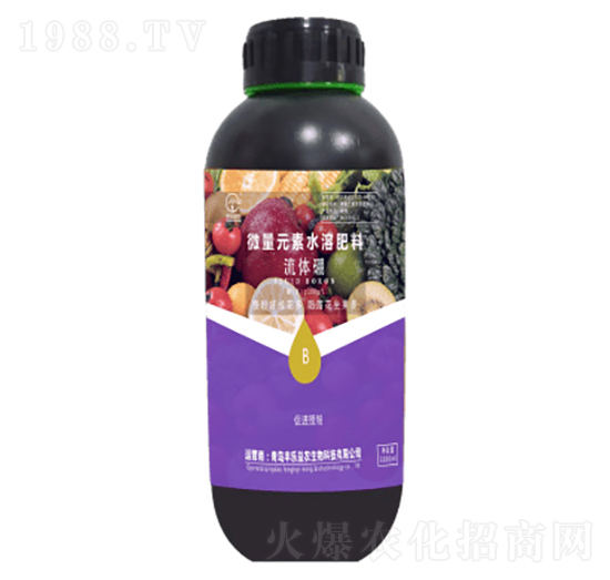 ���w��-�S�����r