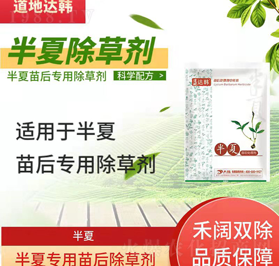 ���ĳ��݄�-�������-���Č���-���n