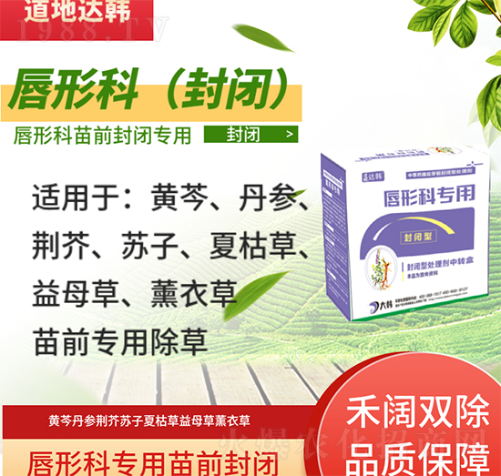 ���οƳ��݄�-���ο���ǰ-���οƌ�(zhu��n)��-���n