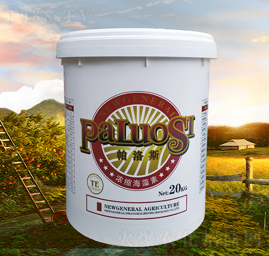 ��s������-����˹-�r(n��ng)��