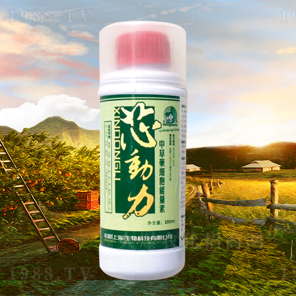 �в�ˎ��(x��)��������-о����-�r(n��ng)��