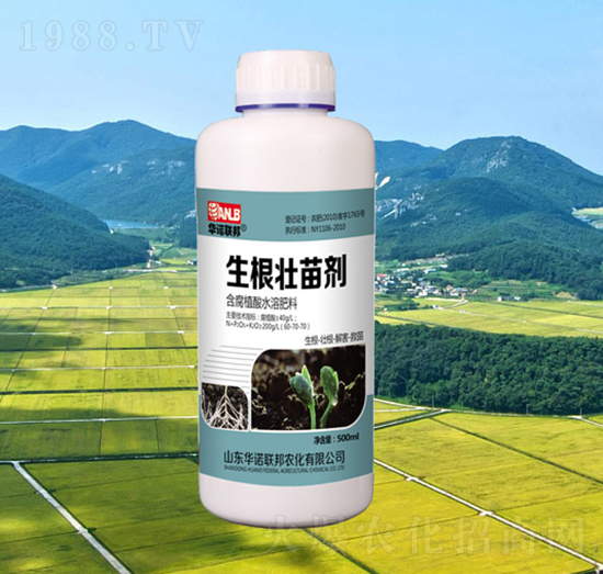 �������焩-�A�Z(li��n)��