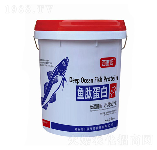 ����ķ���~�ĵ���-��ؐ��