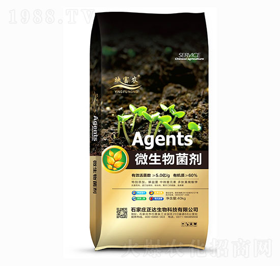 ΢�������-ӳ���r(n��ng)-���_����