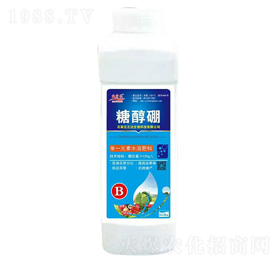 �Ǵ���-ӳ���r(n��ng)-���_����