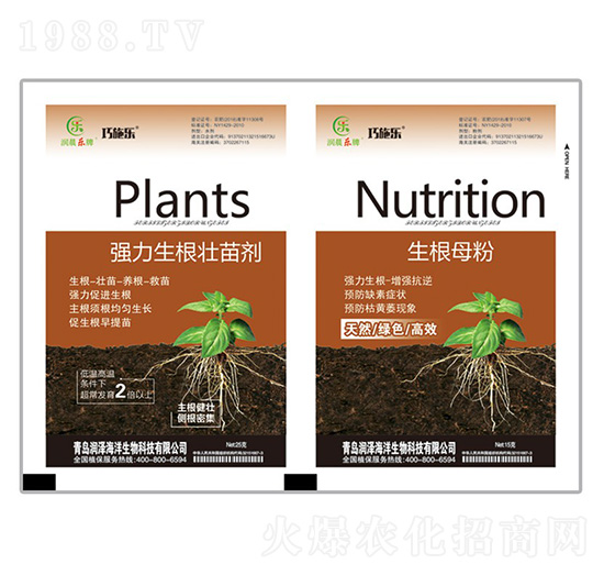 �����������焩+����ĸ��-ؐ������