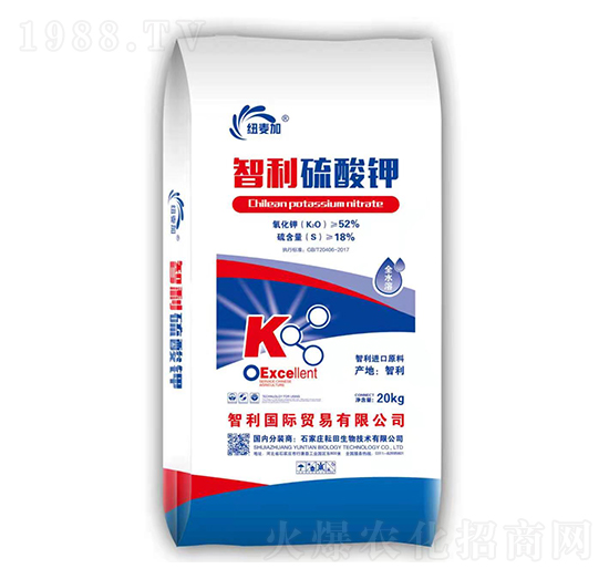 ���������-�~����-��������