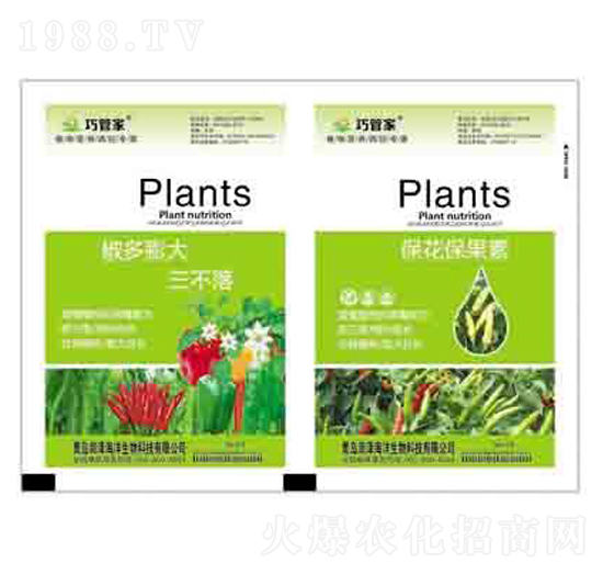 �������������+���������� ����