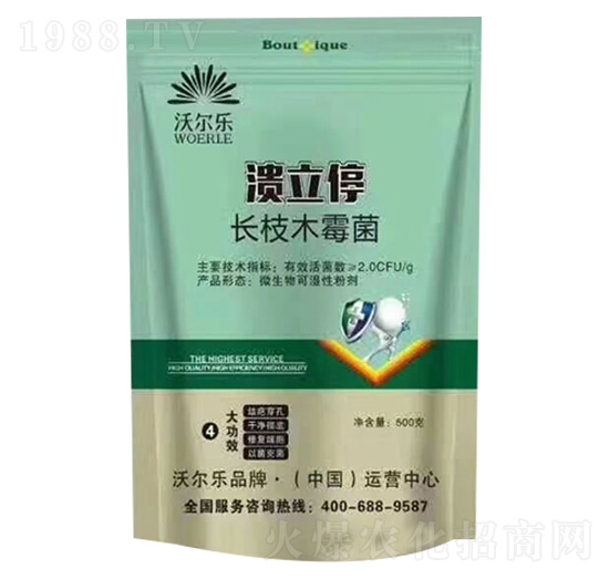 �L(zh��ng)֦ľù��-����ͣ-�֠���(l��)