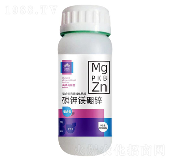 ����V���\-�֠���(l��)