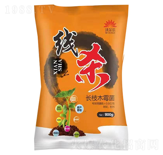 �L(zh��ng)֦ľù��-����-�֠���(l��)