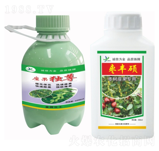 ������������ �������� ���S�T ���ƻ���