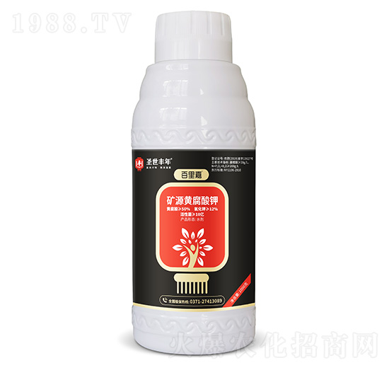 �VԴ�S����� ����� ʥ���S��