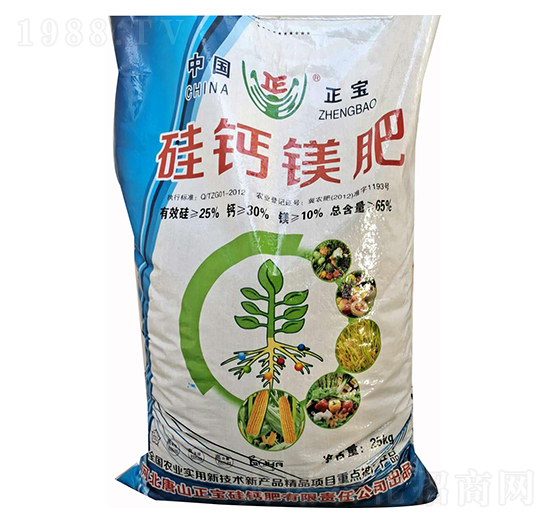 ���}�V�� �������}��