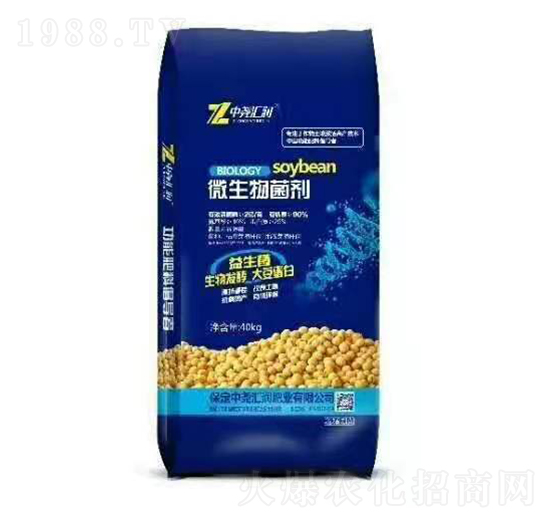 40kg΢������� �Ј�R��